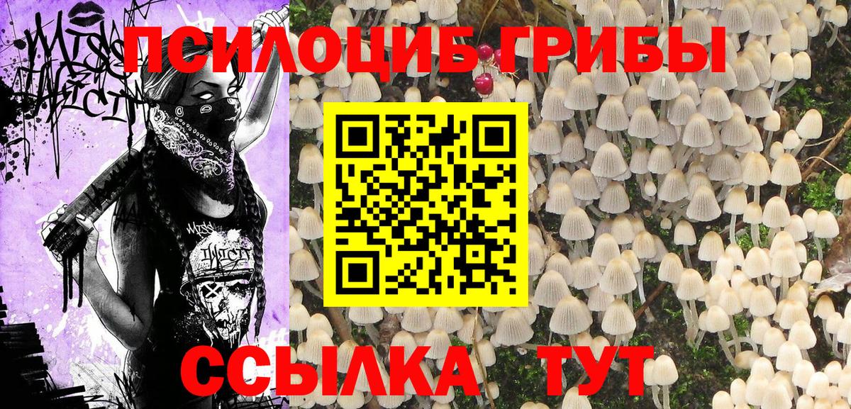 Галлюциногенные грибы прущие грибы Коммунар