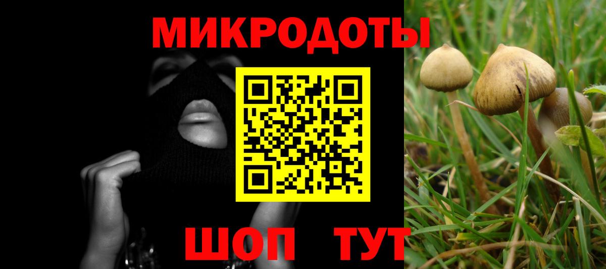 Псилоцибиновые грибы прущие грибы  Вход с VPN  Коммунар  Псилоцибиновые грибы Cubensis 